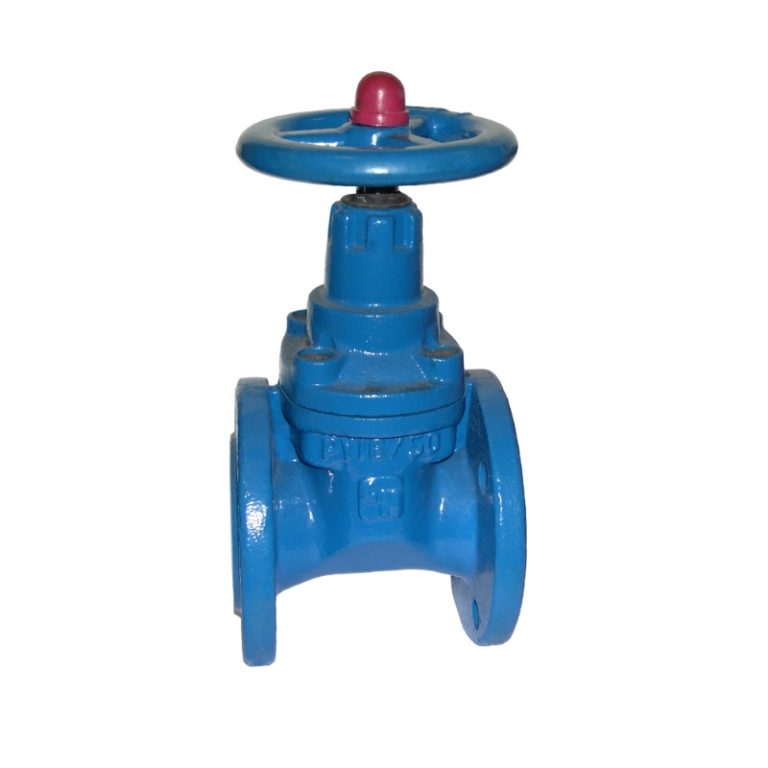 Задвижка чугунная с обрезиненным клином 30ч39р (МЗВ) Ду 50 PN 16 до 75 ...